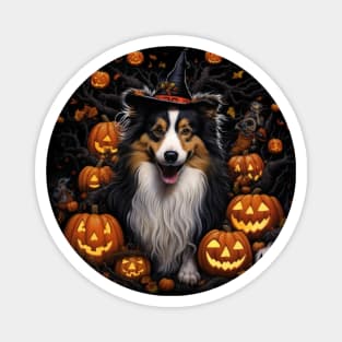 Sheltie Halloween Magnet